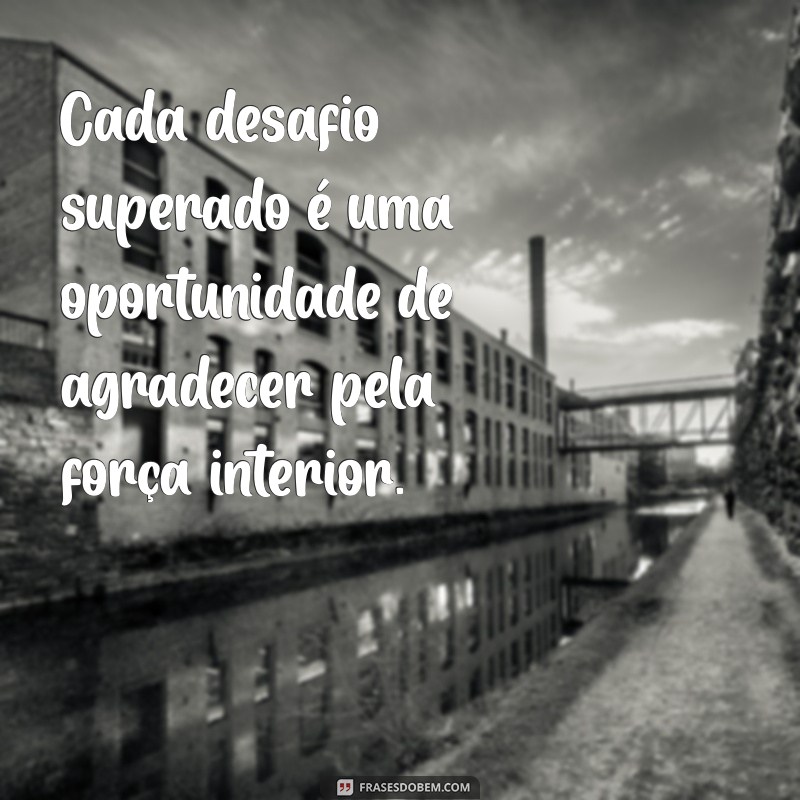 30 Frases Inspiradoras sobre Gratidão pela Vida para Transformar sua Perspectiva 