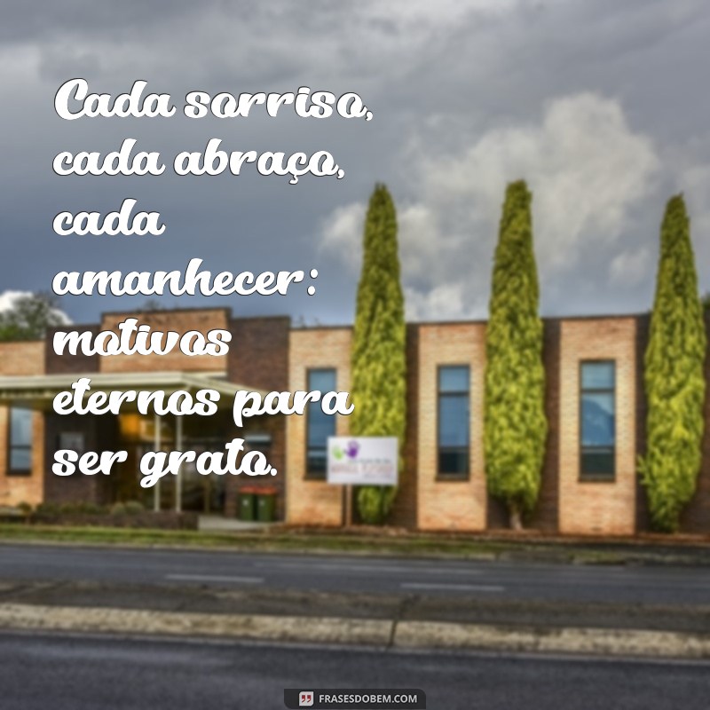 30 Frases Inspiradoras sobre Gratidão pela Vida para Transformar sua Perspectiva 