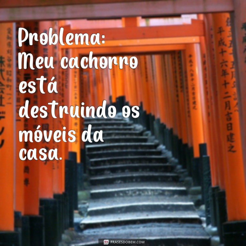 Descubra as melhores frases de problemas e soluções para superar qualquer desafio 