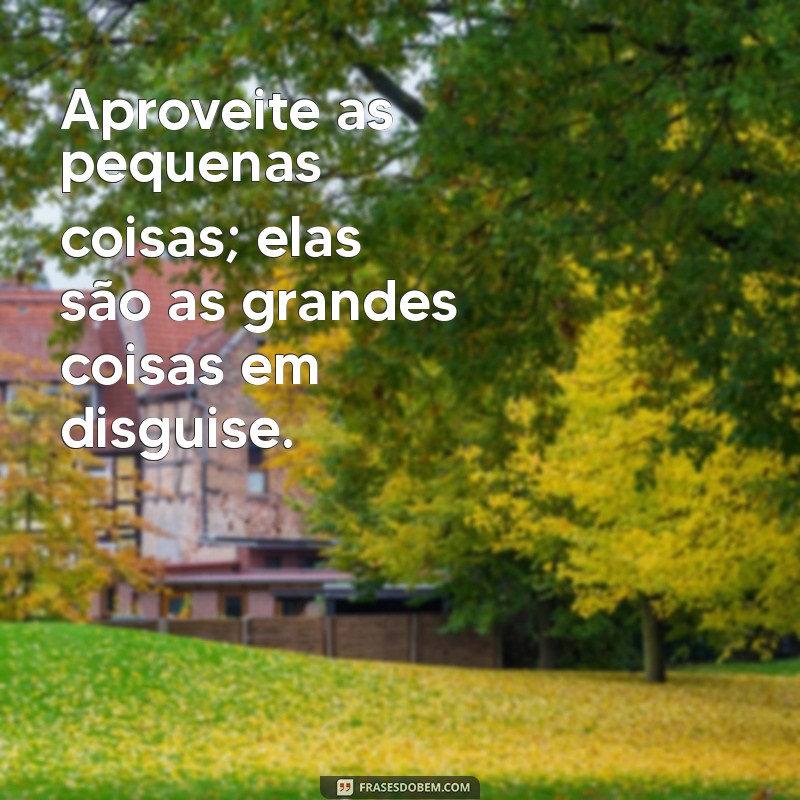 Frases Inspiradoras para Viver com Propósito e Alegria 