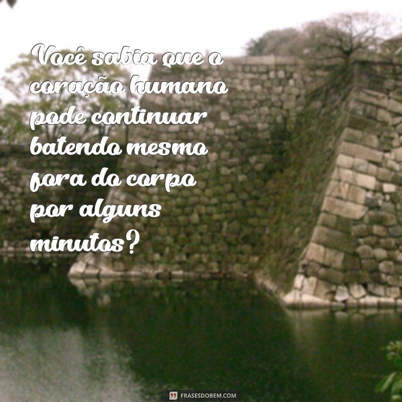 mensagem de curiosidade Você sabia que o coração humano pode continuar batendo mesmo fora do corpo por alguns minutos?