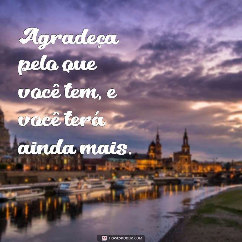 Descubra as Melhores Frases de Gratidão para Inspirar seu Dia 