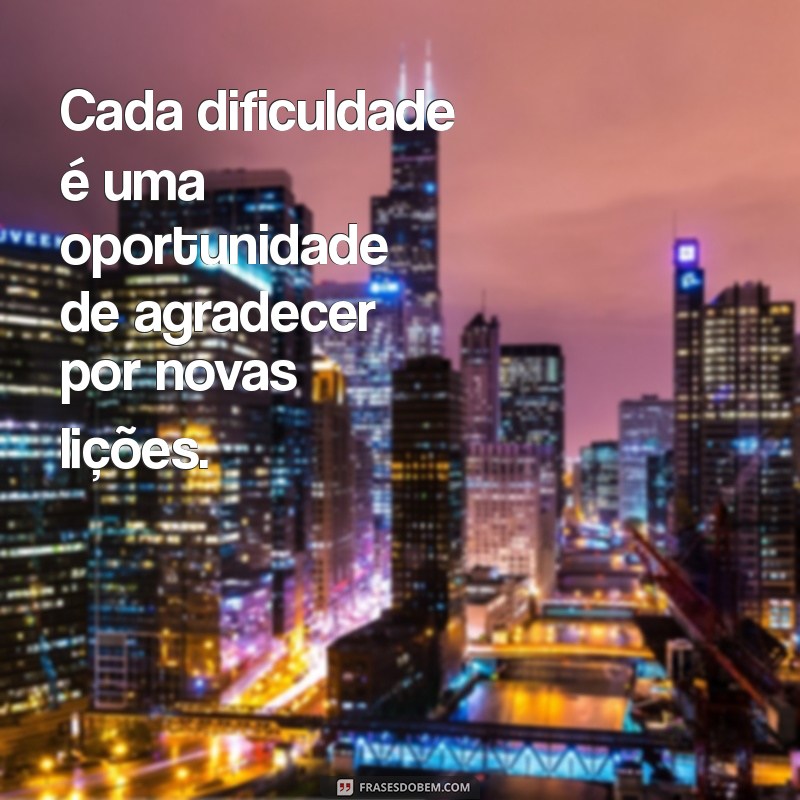 Descubra as Melhores Frases de Gratidão para Inspirar seu Dia 