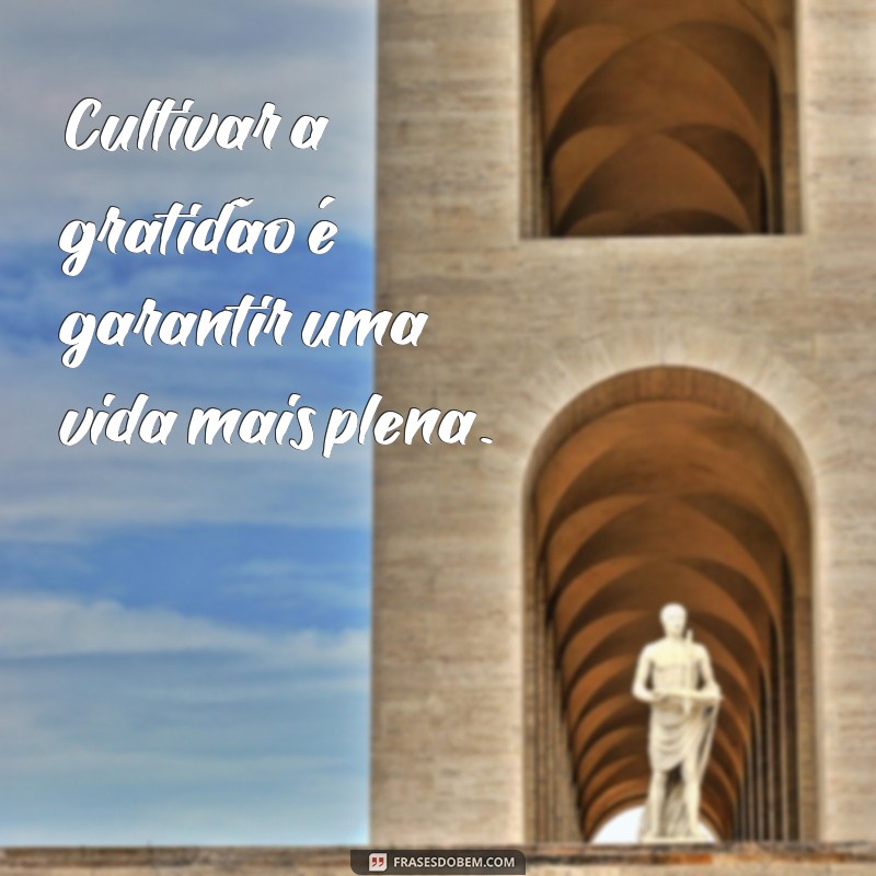 Descubra as Melhores Frases de Gratidão para Inspirar seu Dia 