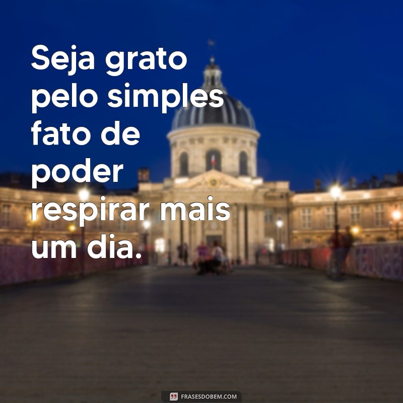 frases de seja grato Seja grato pelo simples fato de poder respirar mais um dia.