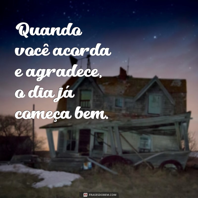 Descubra as Melhores Frases de Gratidão para Inspirar seu Dia 