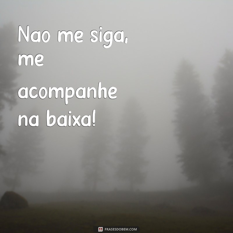 As Melhores Frases para Celebrar Carros Rebaixados: Estilo e Atitude sobre Rodas 