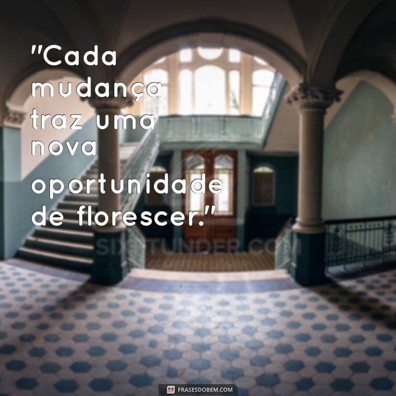 foto mudança 