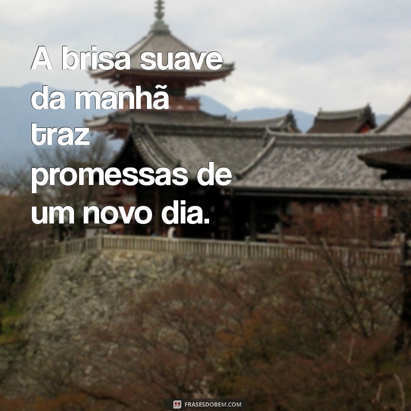 Frases Inspiradoras de B: Reflexões e Mensagens para o Dia a Dia 