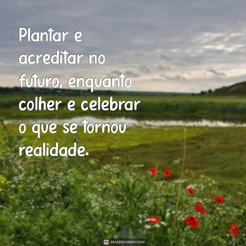 texto reflexivo sobre plantar e colher Plantar é acreditar no futuro, enquanto colher é celebrar o que se tornou realidade.