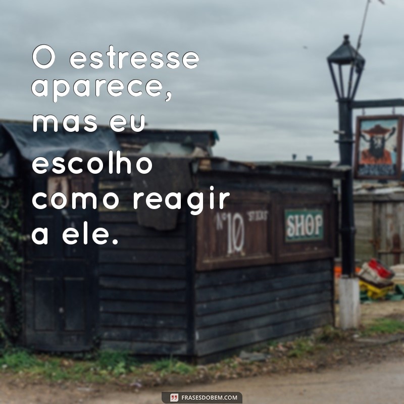 Frases Inspiradoras para Aliviar o Estresse Diário 