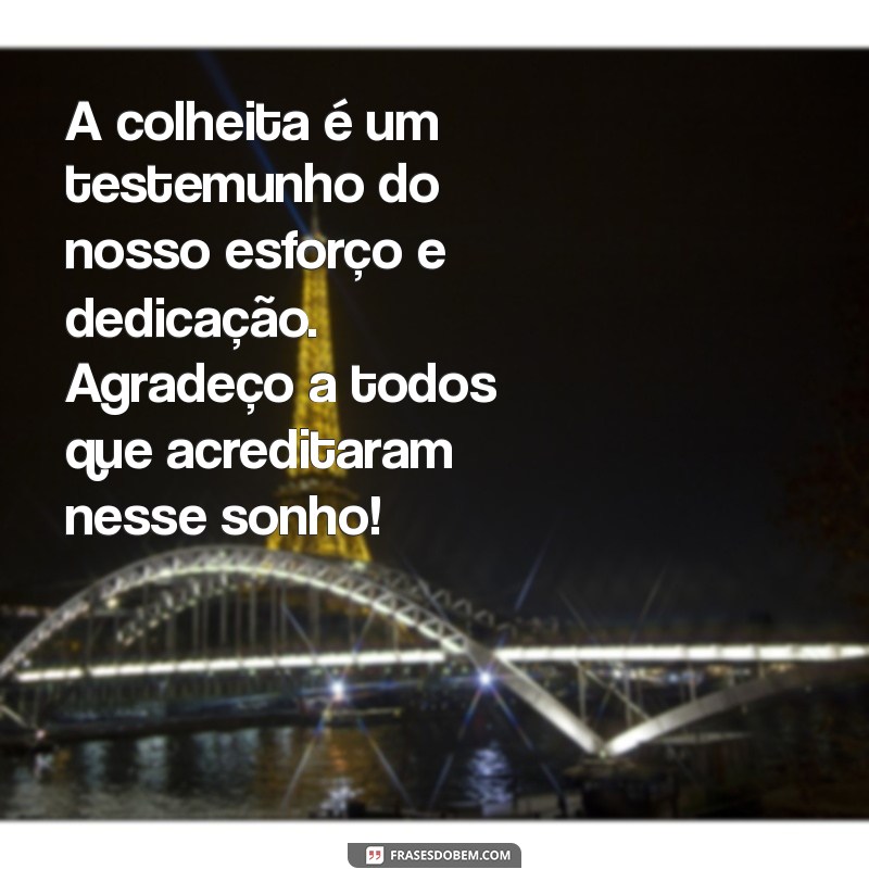 Mensagem de Agradecimento pela Colheita: Celebre a Gratidão e a Abundância 