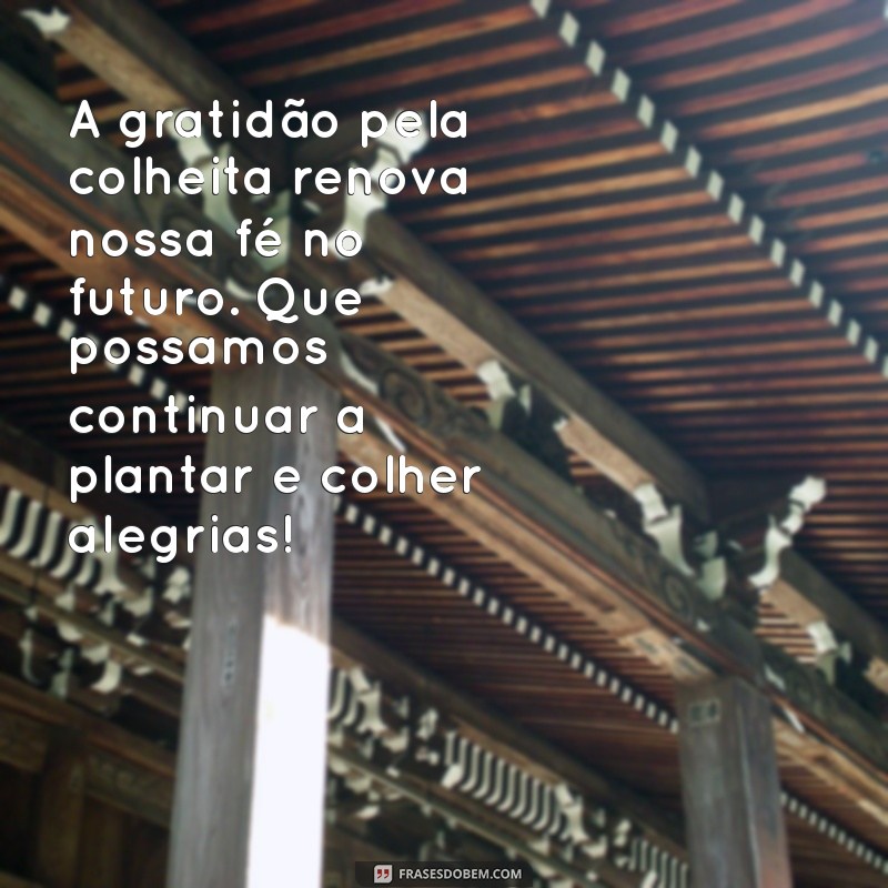 Mensagem de Agradecimento pela Colheita: Celebre a Gratidão e a Abundância 