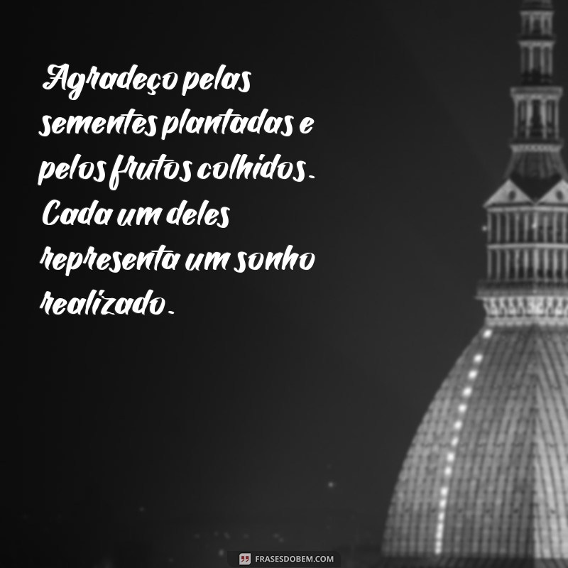 Mensagem de Agradecimento pela Colheita: Celebre a Gratidão e a Abundância 