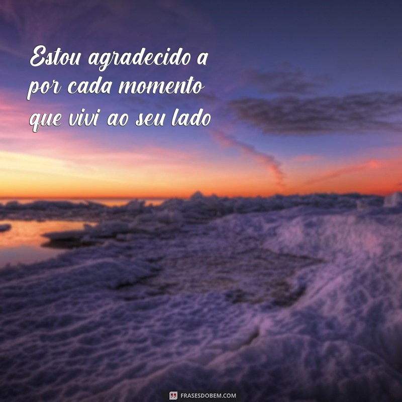 100 Frases Inspiradoras para Agradecer e Valorizar as Pequenas Coisas da Vida 