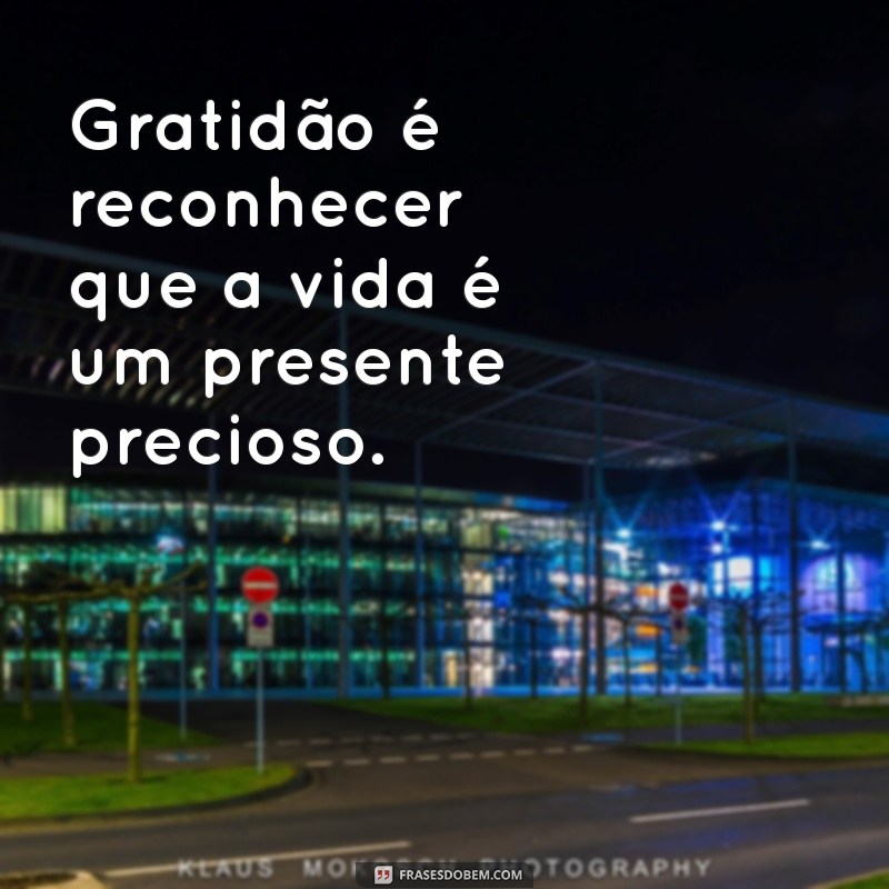 100 Frases Inspiradoras para Agradecer e Valorizar as Pequenas Coisas da Vida 