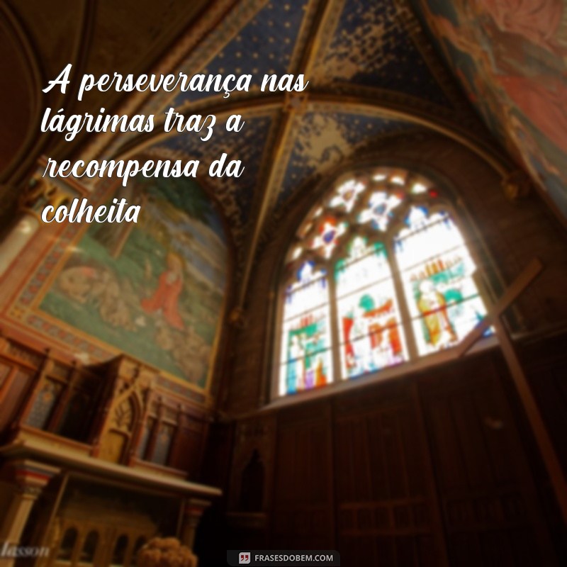 Salmo 126:6 - A Promessa de Colheita e Alegria Espiritual 