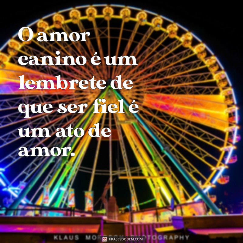 As Melhores Frases de Amor para Celebrar a Amizade com Seu Cachorro 