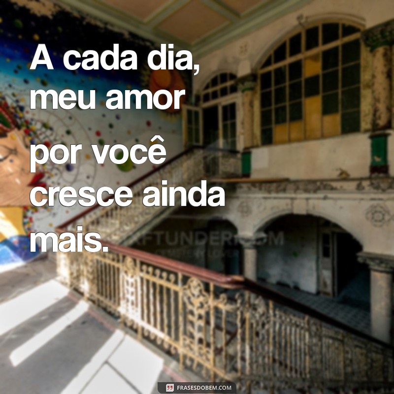 Descubra 50 Pequenas Frases de Amor e Carinho para Encantar Seu Dia 