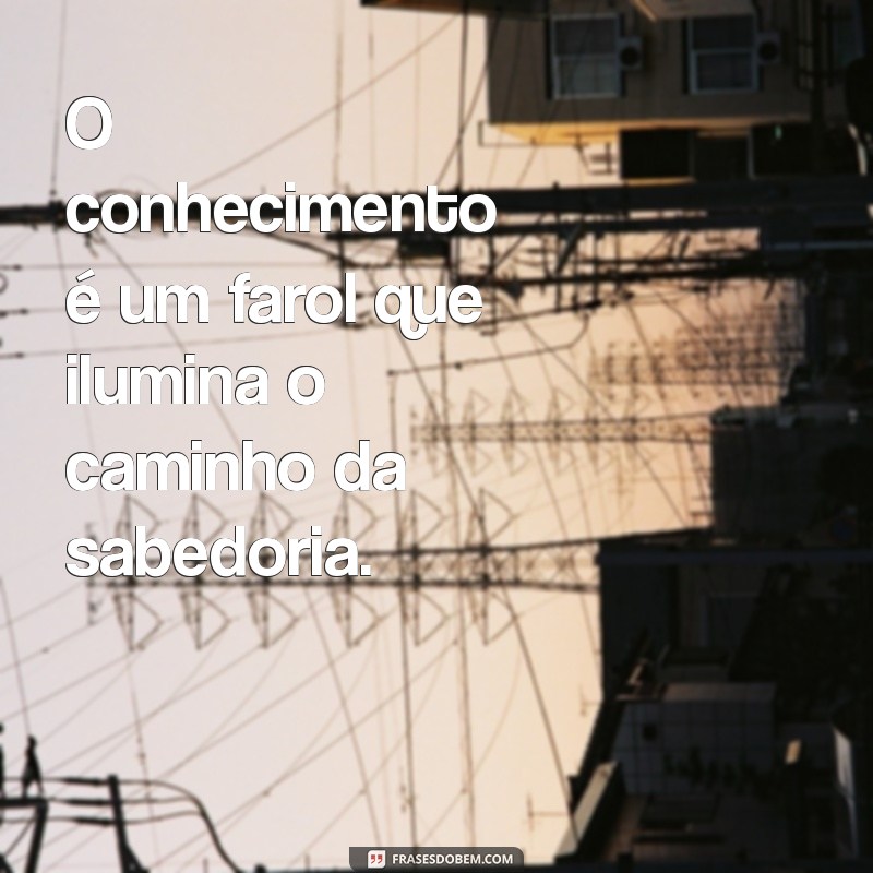 frases sobre buscar conhecimento O conhecimento é um farol que ilumina o caminho da sabedoria.