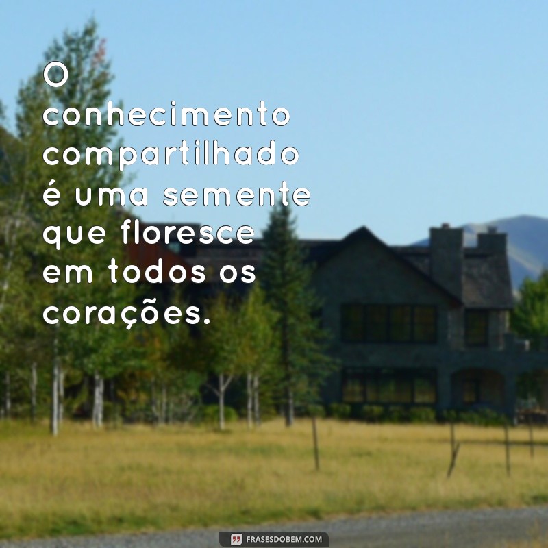 Descubra as Melhores Frases Inspiradoras sobre a Busca pelo Conhecimento 