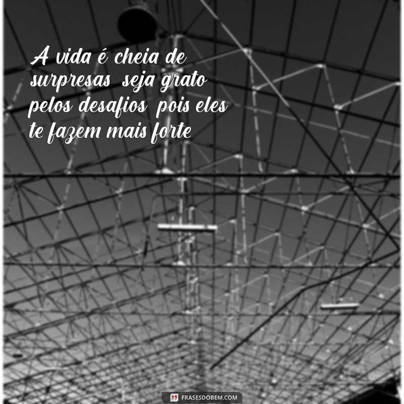 Frases Poderosas de Motivação e Gratidão para Inspirar Seu Dia 