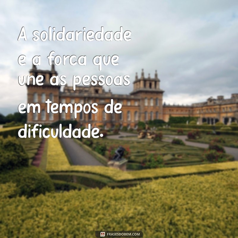 Frases Inspiradoras de Ana Maria Braga: Reflexões e Sabedoria do Pensador 