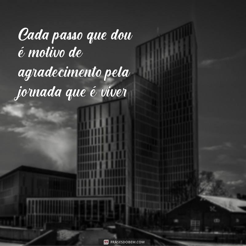 Frases Inspiradoras de Gratidão pela Vida: Cultive a Apreciação Diária 