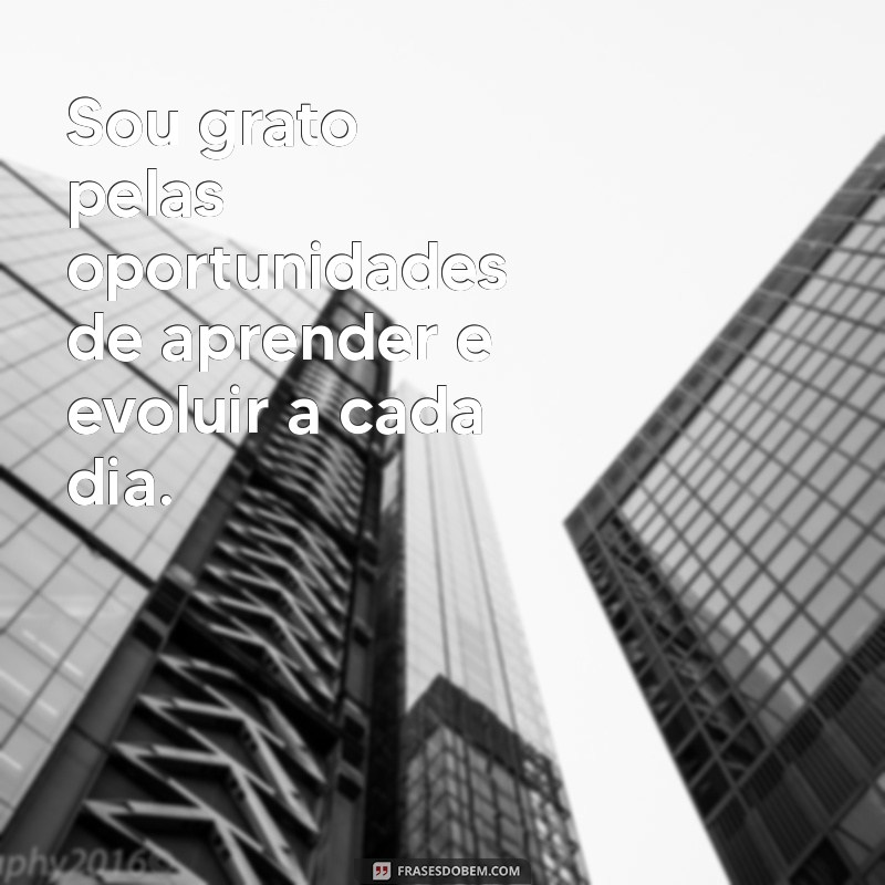 Frases Inspiradoras de Gratidão pela Vida: Cultive a Apreciação Diária 