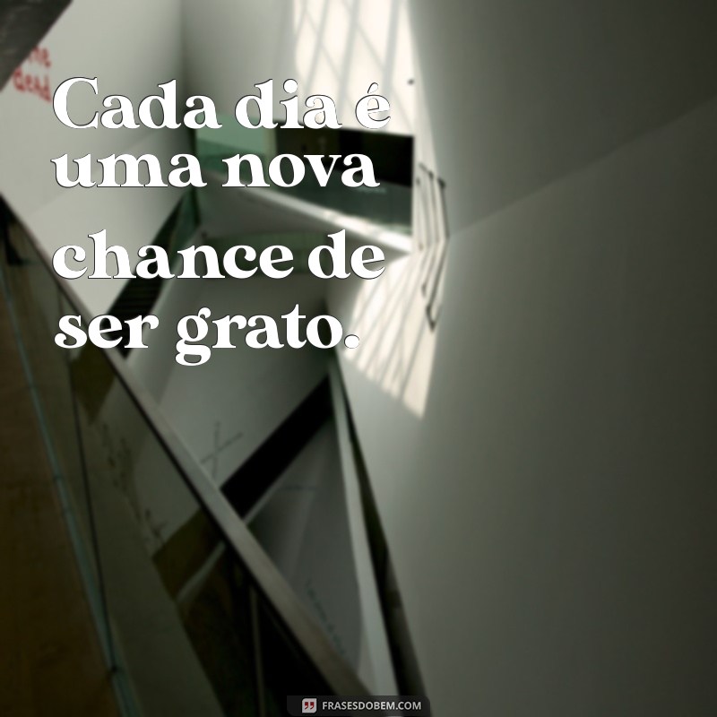 Frases Inspiradoras para Cultivar a Gratidão no Seu Dia a Dia 