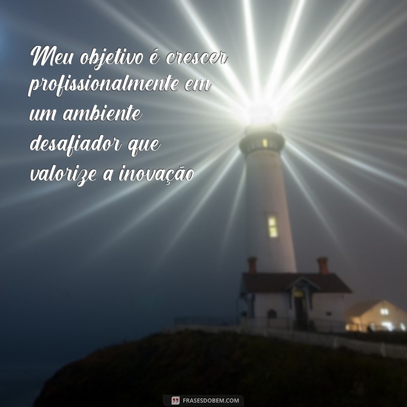 meu objetivo no currículo Meu objetivo é crescer profissionalmente em um ambiente desafiador que valorize a inovação.
