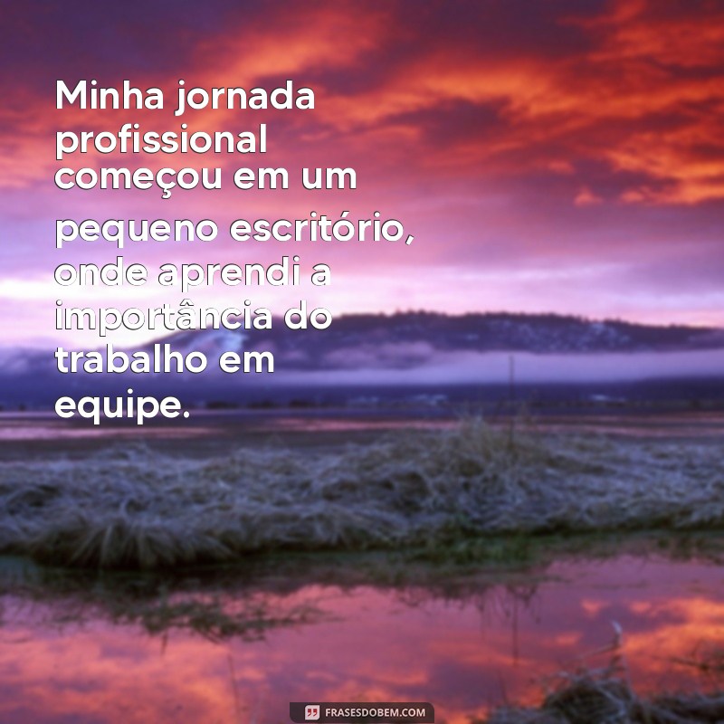 fale sobre sua experiência profissional Minha jornada profissional começou em um pequeno escritório, onde aprendi a importância do trabalho em equipe.