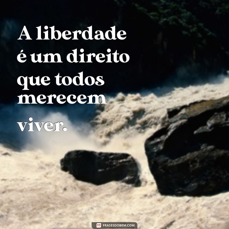 Frases Inspiradoras para Celebrar o Orgulho LGBTQIA+ 