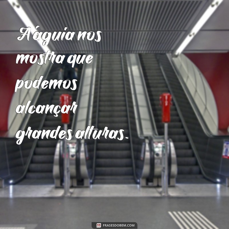 Descubra as mais impressionantes fotos de águias com frases inspiradoras 