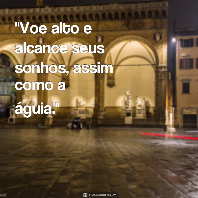 fotos de aguia com frases 