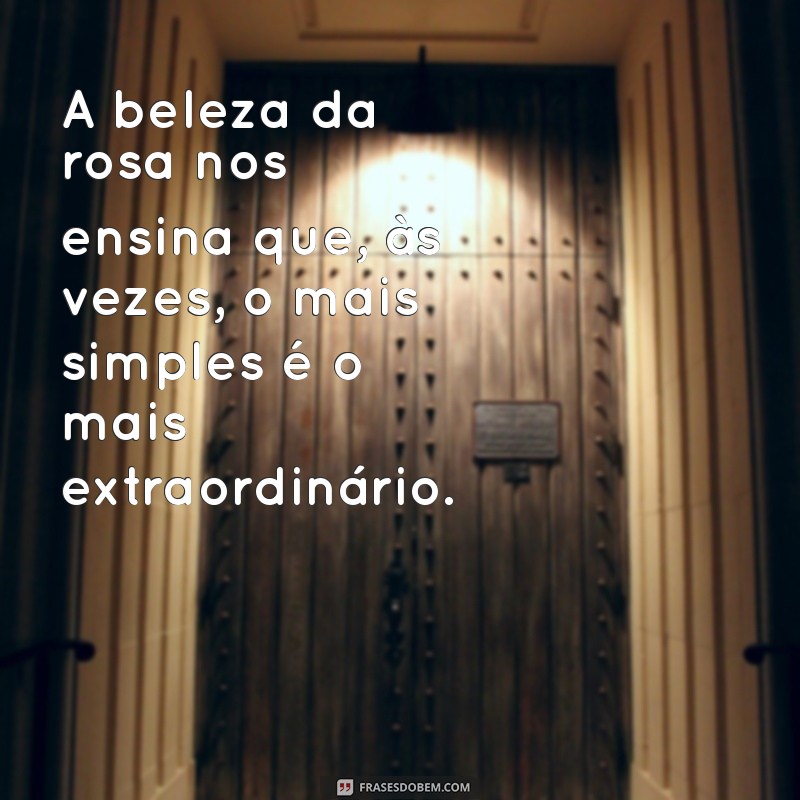 Frases Inspiradoras do Pequeno Príncipe sobre a Rosa: Reflexões e Sabedoria 