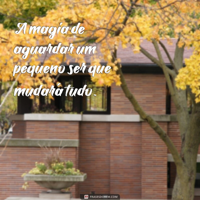 Frases Inspiradoras para Acompanhar Suas Fotos de Gestante 