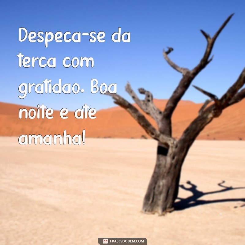 Boa Noite Terça: Frases Inspiradoras para Encerrar o Dia com Positividade 