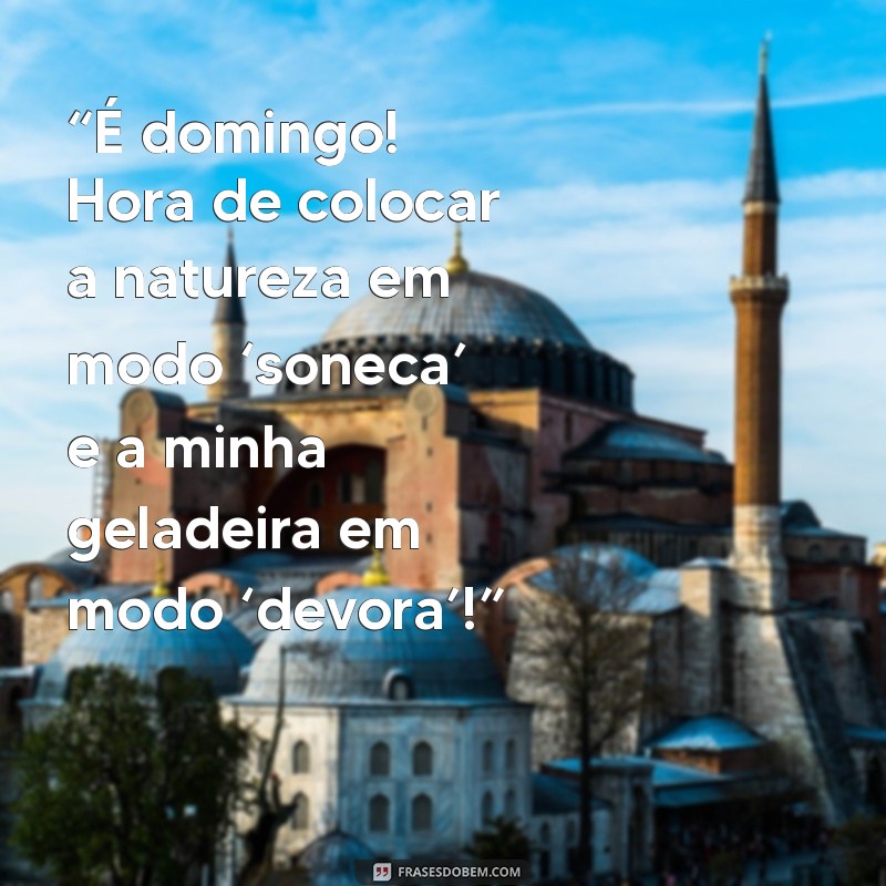 27 Frases Engraçadas para Tornar Seu Domingo Mais Feliz 