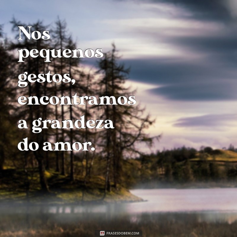 As Melhores Frases de Amor para Inspirar o Seu Coração 