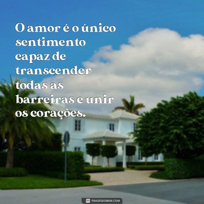 Descubra as mais belas frases de amor de Chico Xavier para inspirar sua vida 