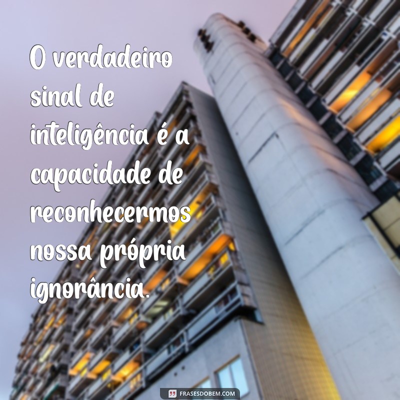 10 Mensagens Inteligentes para Inspirar e Motivar seu Dia 