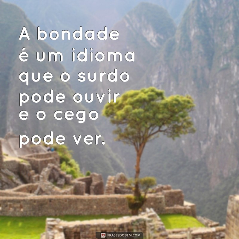 Frases de Efeito Moral: Inspirações para Reflexão e Crescimento Pessoal 