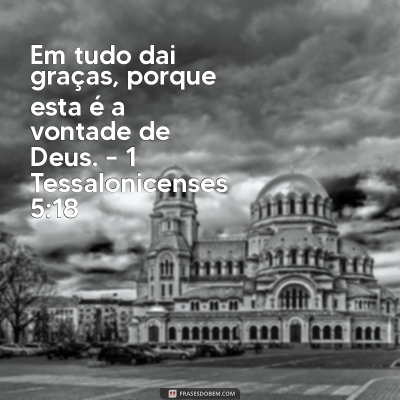 Frases Inspiradoras da Bíblia para Animar e Motivar Seu Dia 