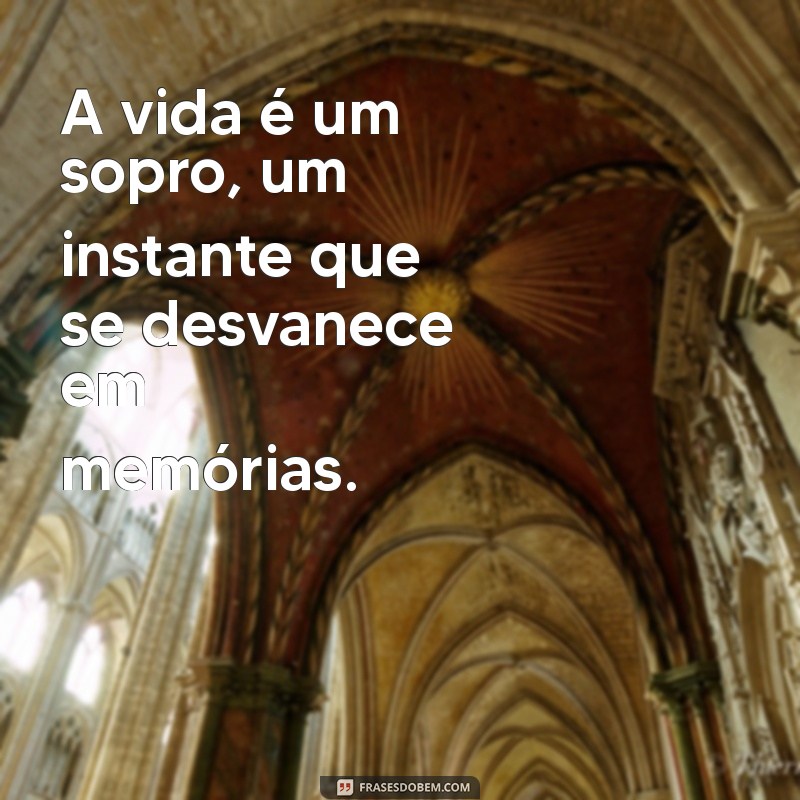 a vida é um sopro frases A vida é um sopro, um instante que se desvanece em memórias.