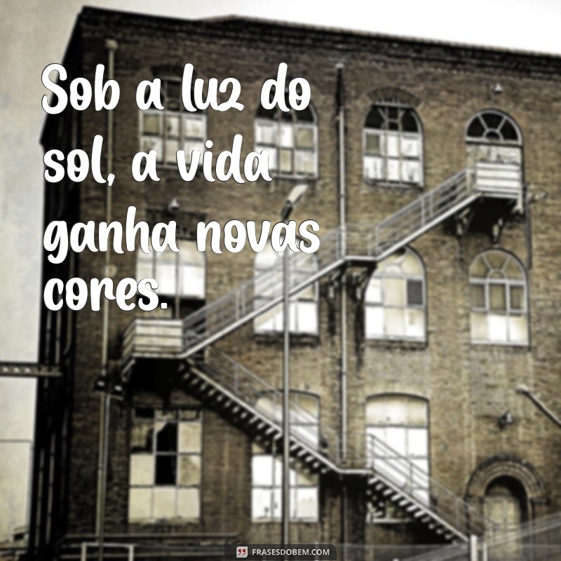 Frases Inspiradoras para Acompanhar Suas Fotos ao Sol 