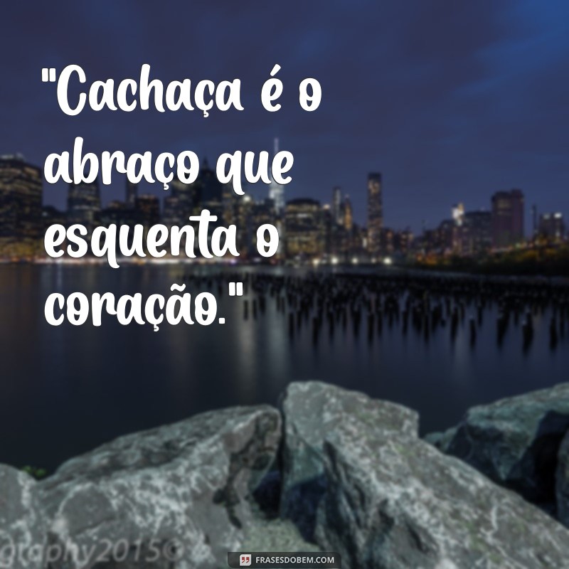 frases de cachaça 