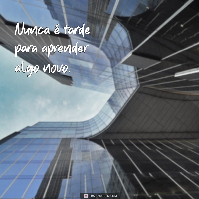 Transforme sua vida com estas poderosas frases de motivação 