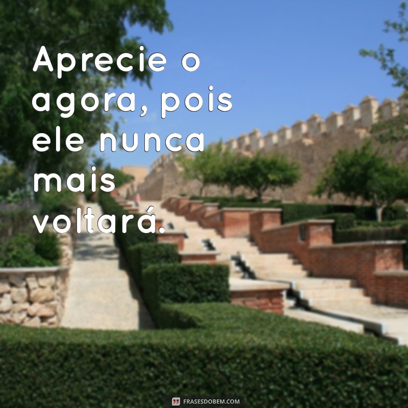 Frases Inspiradoras para Aproveitar Cada Momento da Vida 