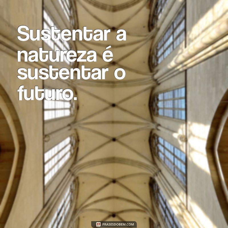 Frases Inspiradoras para Promover a Sustentabilidade e o Cuidado com o Planeta 